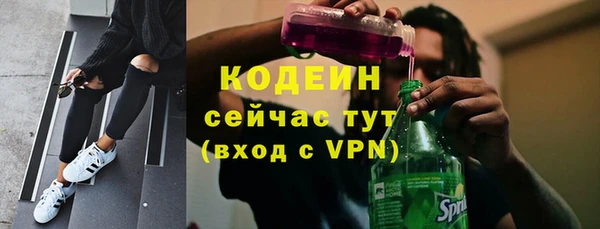 сатива Баксан