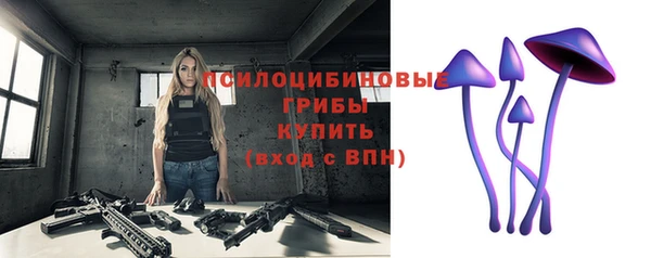 сатива Баксан