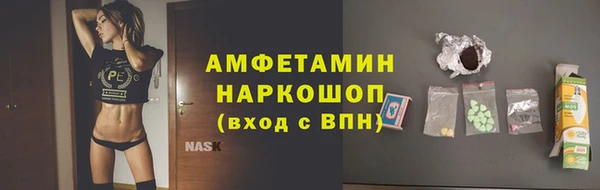 сатива Баксан