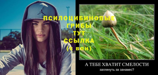 хмурый Балахна